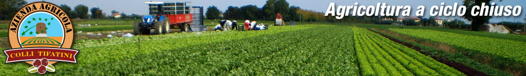 Azienda Agricola Colli Tifatini